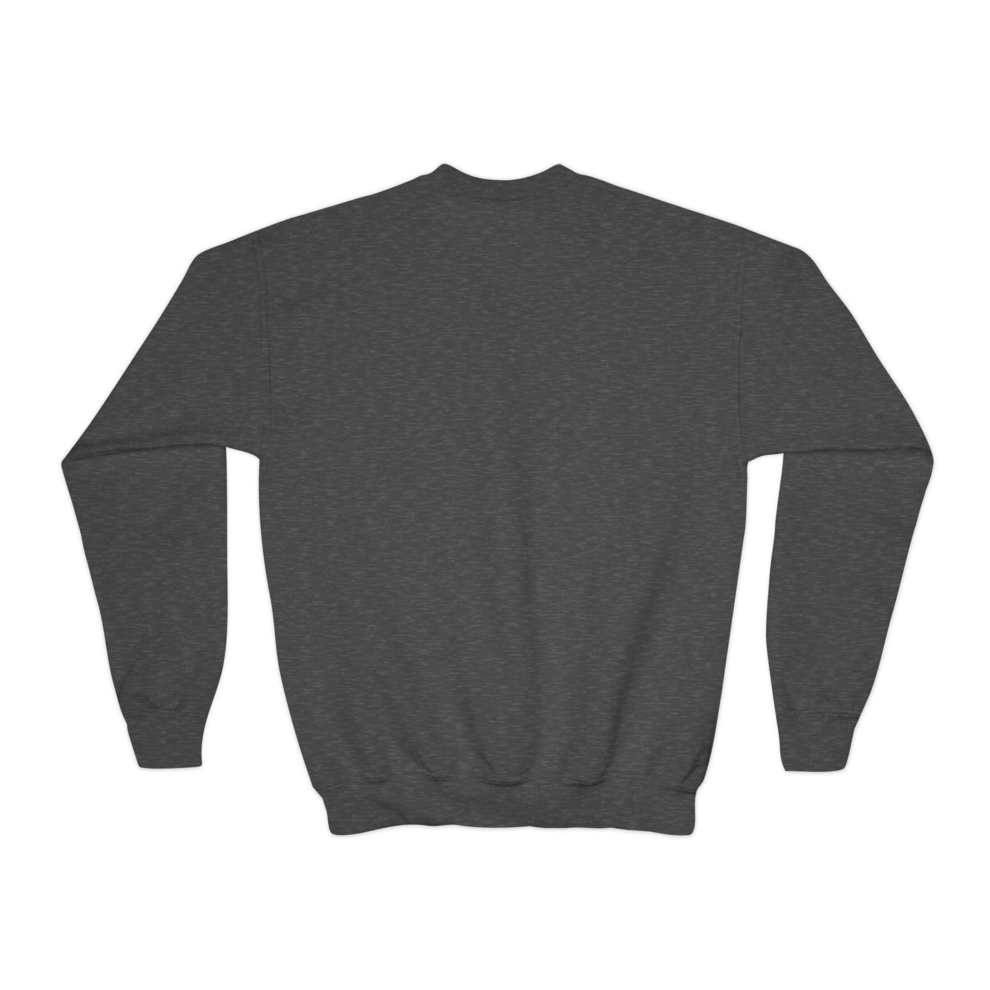 Santa's Favorite Youth Crewneck Sweatshirt